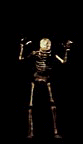 Loyal skeleton bowing down to the Newts!